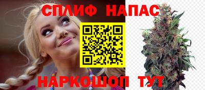стаф Кулебаки