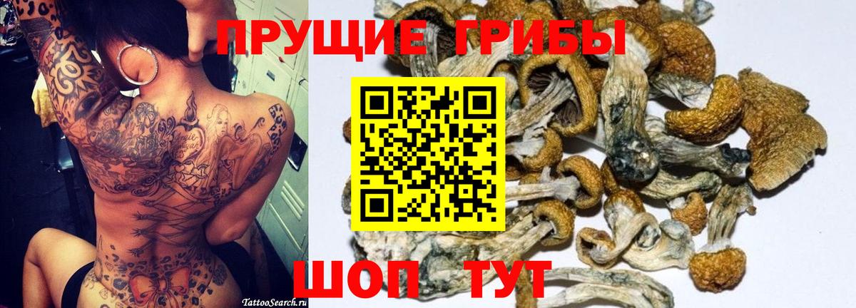 Галлюциногенные грибы мухоморы Волгодонск