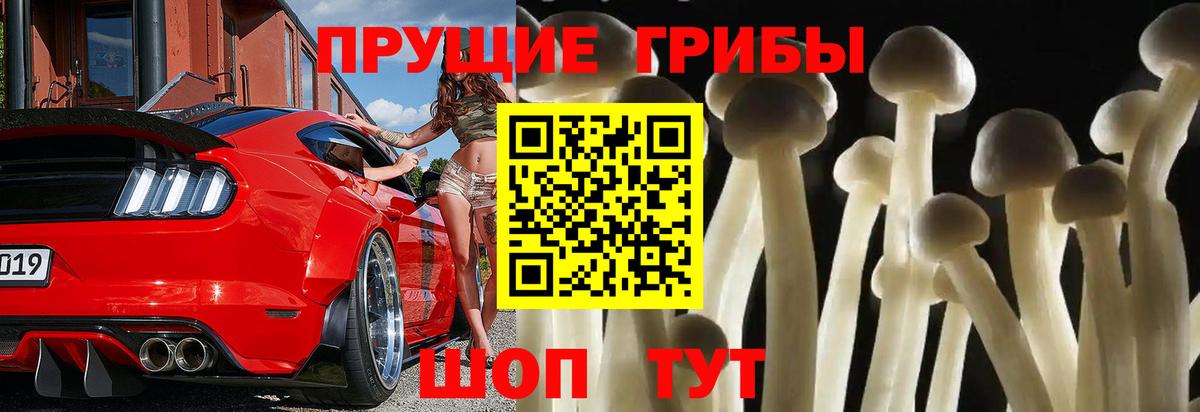 продажа наркотиков  Псилоцибиновые грибы Cubensis  Псилоцибиновые грибы ЛСД  Вход с VPN  Волгодонск 